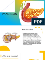 power point pancreas