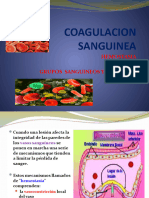 Coagulacion Sanguinea-Grupo Sanguineos 2