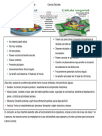 Ciencias Naturales Actividad 2