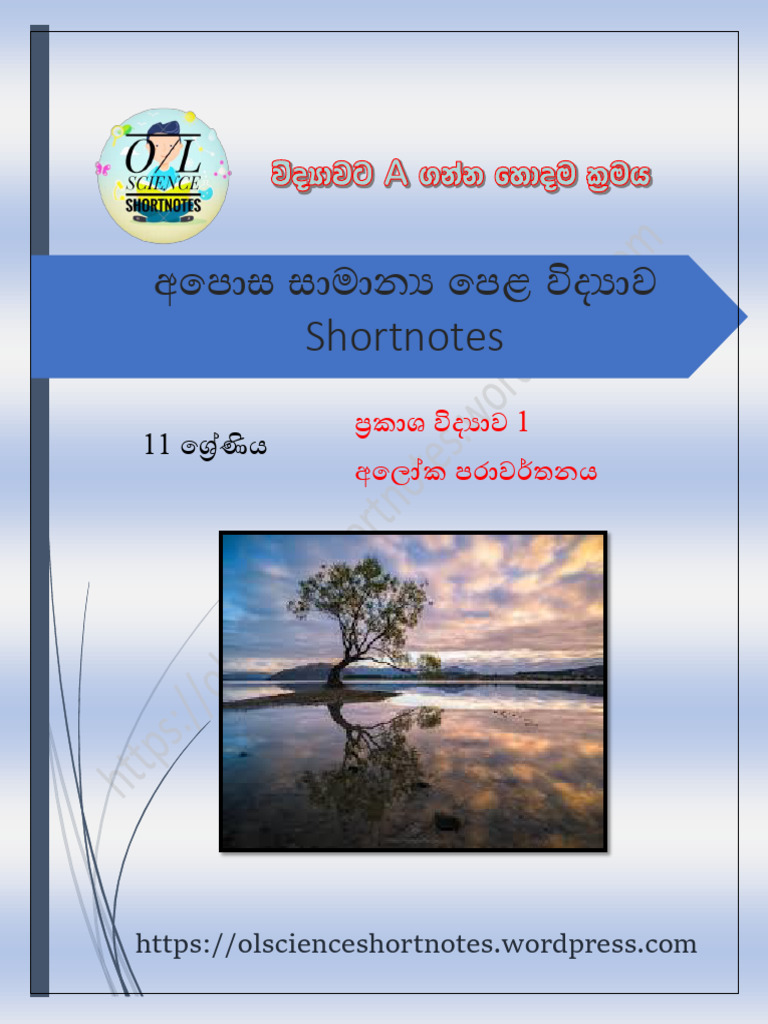 Ligth Reflection | PDF
