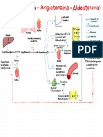 Diagrama SRAA