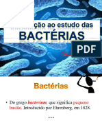 Aula 3 -Introd ao estudo das Bacterias