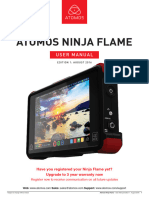 Manual Ninja Flame