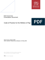 consultation-document-pig-welfare