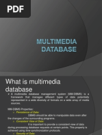 Multimedia Database