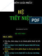 8.-Hệ-TIẾT-NIỆU.