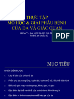 TT - Mô GPB Da - RHM 2022 KHOA Y - ĐHQG