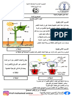 Dzexams 1am Sciences 1755094