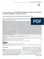 Nematicidal Activity of Pyrolisate of Bambusa Vulgaris On Root-Knot Nematode Meloidogyne Incognita of Lettuce
