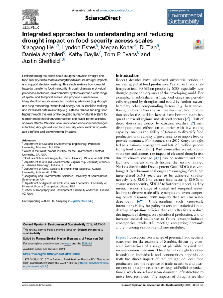 Drought's Impact on Food Security Analysis | PDF | Food Security | Drought