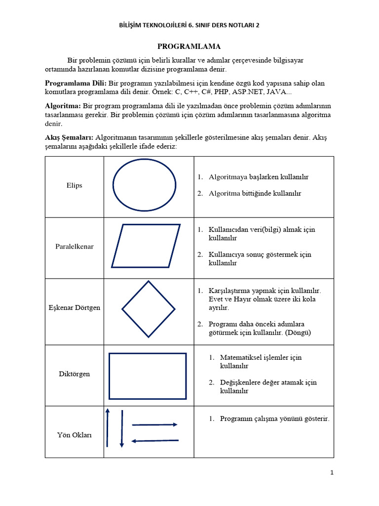 6 Sinif Ders Notlari Pdf