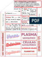 Para Completar - Vasos Sanguíneos y Sangre