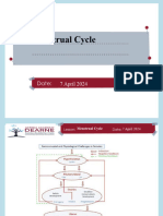 Menstrual Cycle