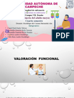 5.3 Valoración Funcional