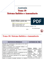 Tema_10_Linfatico_e_Inmunitario