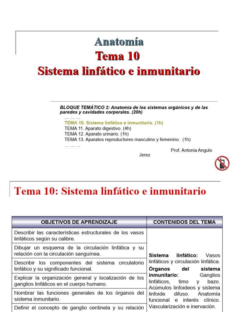 Tema 10 Linfatico E Inmunitario Pdf Sistema Linfático Ganglio