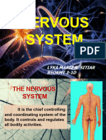 Introduction to Nervous System