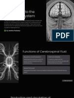 Introduction To The Ventricular System