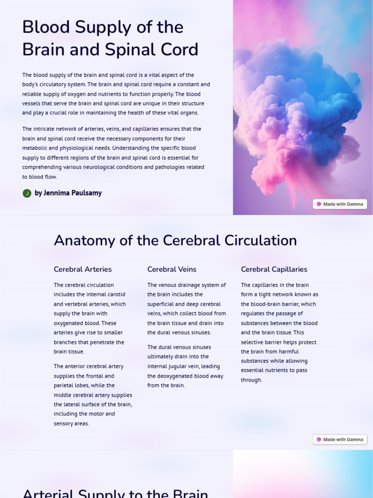 Blood Supply to Brain and Spinal Cord | PDF | Vein | Vertebral Column