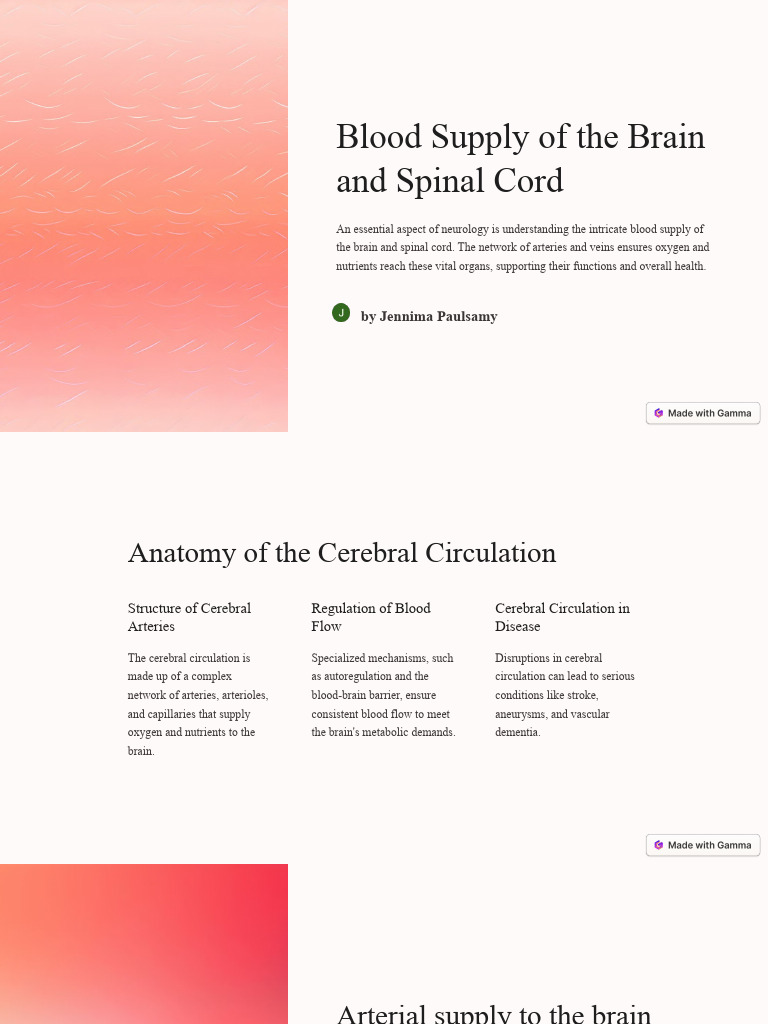 Brain and Spinal Cord Blood Supply Guide | PDF | Vein | Artery