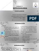 Unidad 2 Tema 5 Toxoplasmosis