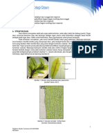 (MODUL 2) Morfologi Daun