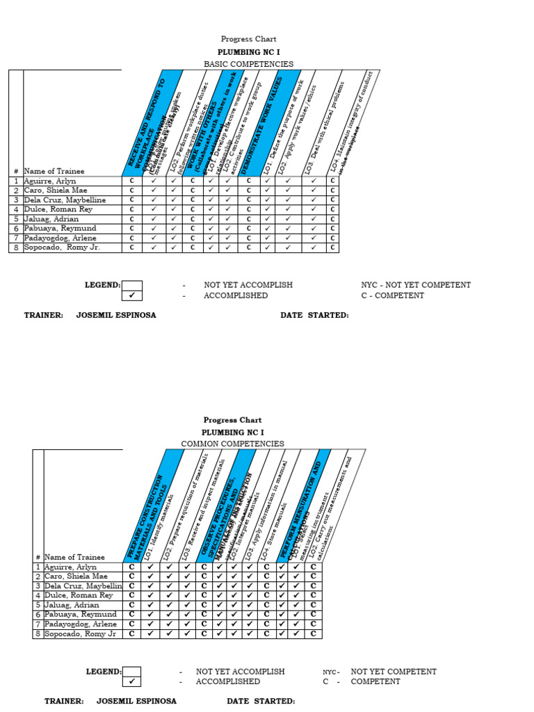 Progress Chart Basic, Common and Core | PDF