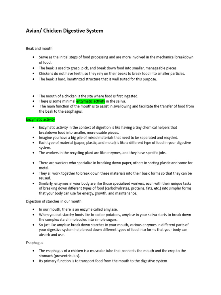 Chicken Digestive System Overview | PDF | Digestion | Small Intestine