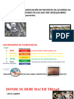 TRIAGE PDF Imprimir