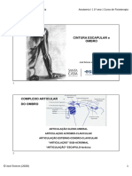 02 Ombro Anat I 2020 Slides