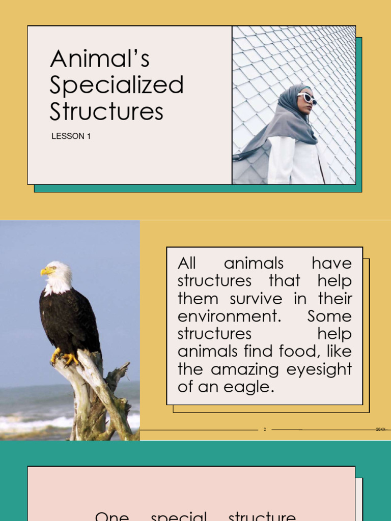 Animal Structures for Survival and Function | PDF | Epithelium ...