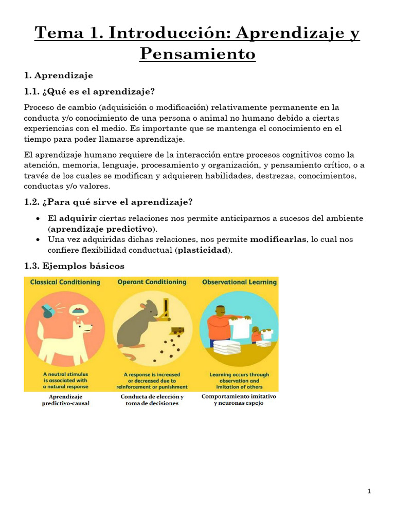 Aprendizaje y Pensamiento: Teorías Clave | PDF | Aprendizaje | Pensamiento