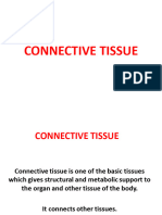 Connective Tissue