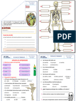 3 Ficha Cómo Se Unen Mis Huesos 2