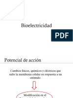 Bioelectricidad