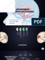Enfermedades Vasculares Cerebrales