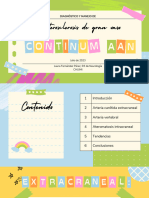 Continuum AAN 2023