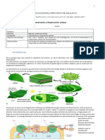 Guía Fotosíntesis y Respiración Celular