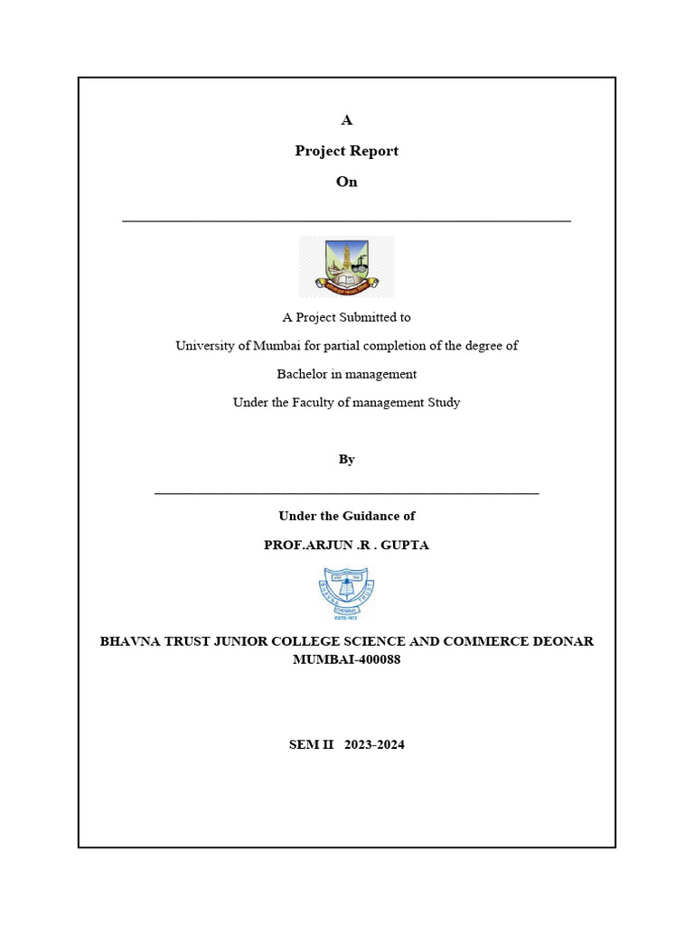 Bachelor Management Project Report | PDF | Career & Growth