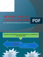 Metabolismo de Los Nucleotidos