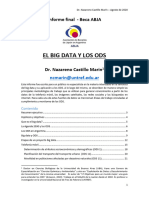 Castillo Marin (2020) - El Big Data y los ODS - UNTREF