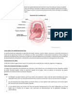 Partes de La Cavidad Bucal