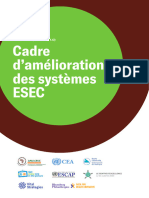 Cadre-damelioration-des-systemes-ESEC