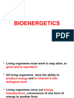 Unit 6 Bioenergetics