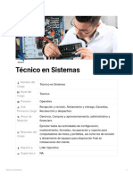 Perfil Técnico en Sistemas Necsoftpc