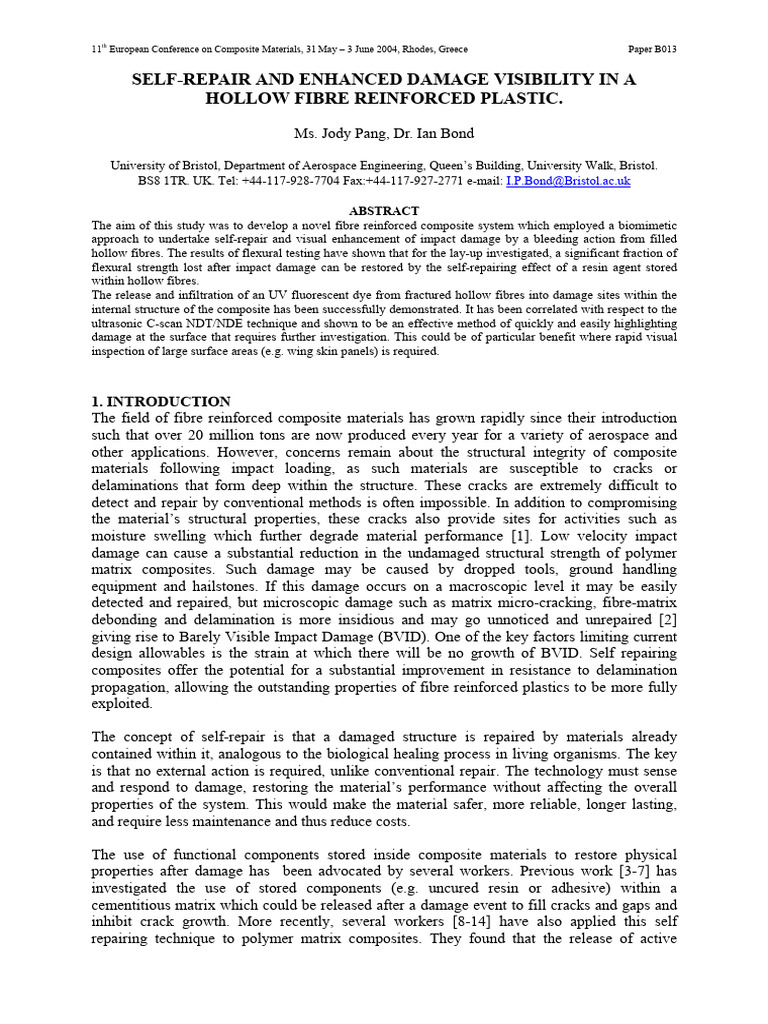 SelfRepair and Enhanced Damage Visibility in A Hollow Reinforced