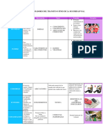 Cuadro Del Resumen Fines de La Seguridad Vial