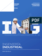 PG Ing. Industrial 0 (1)