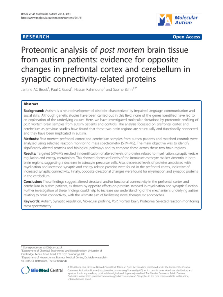 Proteomic Changes in Autism Brain Tissue | PDF | Cerebellum | Brain