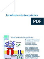 Gradiente Electroquimico JS